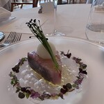 Shin Harada - 寒鰤