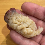 小判寿司 - 長万部産炙り北寄貝