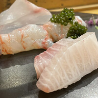 小判寿司 棚倉 - 天草産クエ、カンパチ28日神経〆、 　相馬葡萄海老、卵醤油漬け、肝ポン酢