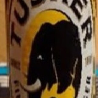 カラバッシュ_1