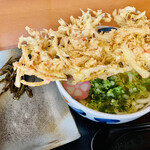 讃岐うどん 明月 - 