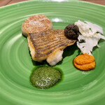 ラディーチェ - 