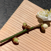 日本焼肉はせ川 別亭 銀座店 - 