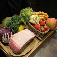 オッジ ダルマット 西麻布店 - 