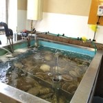 喰い処 鮭番屋 - ホタテの水槽