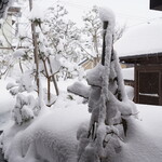 天ぷら 正心庵 - 