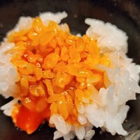 鳥カミ - 