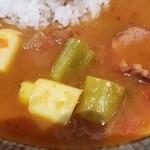 195309150 - sea of Japanese soup curry with 鴨肉とネギ