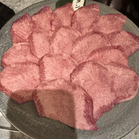 PONGA PREMIUM - 
