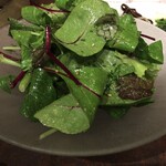 焼肉 スタミナ苑 - ベビーリーフサラダ