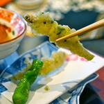 青山 星のなる木 - 