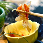 青山 星のなる木 - 