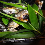 桜田 - 稚鮎　アップ