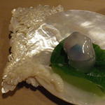 桜田 - 器　ご覧あれ！