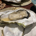 懐石BAR しょうへい3000 - 