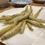 カナディアンビレッジ モントリオール - 