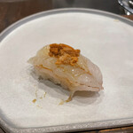 寿司 しくら - ボタンエビ