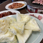 新井屋 - キャベツ