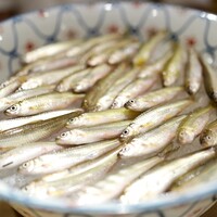 富小路 やま岸 - 