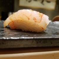 江戸前 鮨 服部 - 富山の甘海老