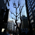 銀座シシリア - そして何食わぬ顔して晴れてくる