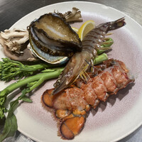 ニュー松坂 六本木店 - 