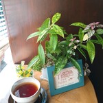 タンジョウ ファーム キッチン - 【農薬を使わずに育てた紅茶】