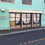 スパイス・ツリー - 