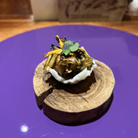 IL TEATRINO DA SALONE - 