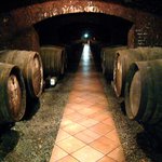 キャノン - 地下のワイン醸造場