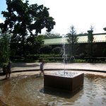 キャノン - 敷地内は公園のように整備されています