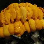 柿崎商店 海鮮工房 - 赤折ウニ丼up　柿崎商店＠余市