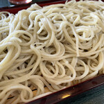 Teuchi Soba Wakatake - 