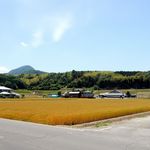 山越うどん - 田畑