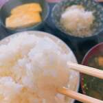 ごはん屋 たこ八食堂 - 