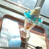 スカイツリーカフェ フロア340