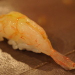 鮨匠 のむら - タカエビの握り。