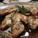 若駒 - ぜんめの煮付け