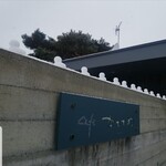 カフェかちまめ - 