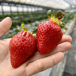 姫路ハートフル観光農園 - 