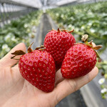 姫路ハートフル観光農園 - 