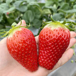 姫路ハートフル観光農園 - 