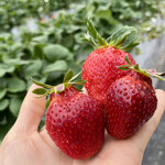 姫路ハートフル観光農園 - 