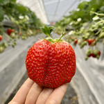 姫路ハートフル観光農園 - 