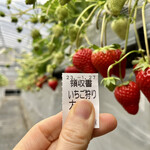 姫路ハートフル観光農園 - 