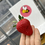 姫路ハートフル観光農園 - 