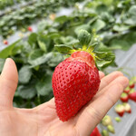 姫路ハートフル観光農園 - 