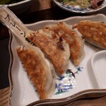 Shigi39 - 餃子プレーン