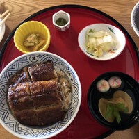 炭焼 うな富士 天白別邸 - 