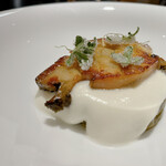 サンプリシテ - 